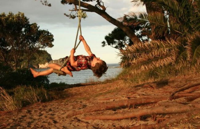 Hahei Beach Resort - Foto 46