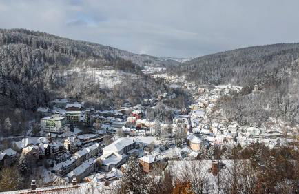 Triberg Blick - Foto 24
