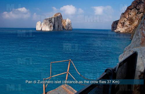 Il Fenicottero - Foto 45