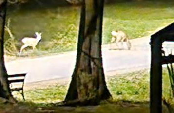 Plitvice ZG - Foto 8