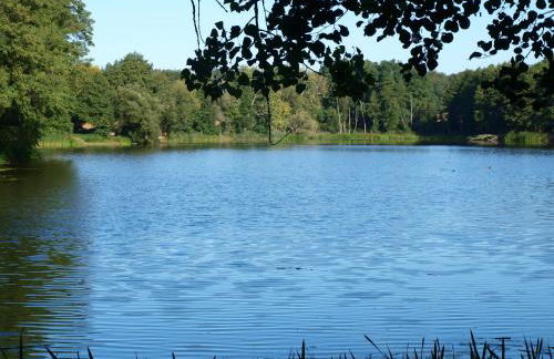 Natur erleben und Ruhe genießen - Foto 25