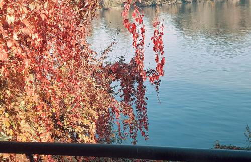 Les Seringats - Foto 8