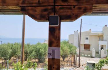 Stella's Garden - Foto 31