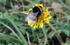 Żurawisko - Domki wśród natury - Foto 62