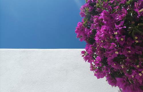 Can Pep Pardal - Foto 42