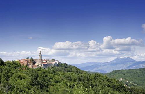 Roinizza in Prtlog (Haus für 4-5 Personen) - Foto 33