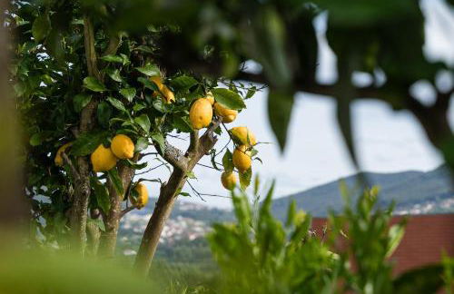 Relaxing time near the river - Foto 54