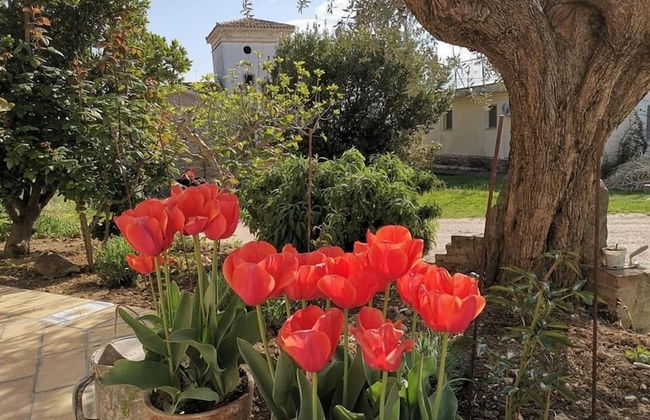 Agriturismo Torre Mannella - Foto 31