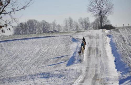 Quiet Comfort in Oelsnitz - Foto 34