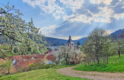 Landhaus Christina - Foto 45