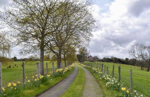 Bugatti House - Foto 16