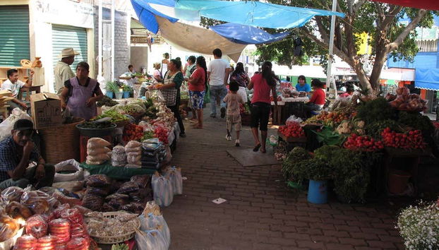 Recorriendo los puestos del mercado