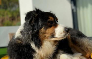 1 The Bay - Stunning contemporary flat on the Scottish coast - Foto 34