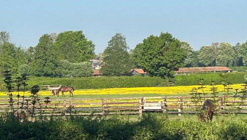 Beautiful Lodge in Newmarket with parking - Foto 4