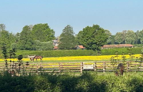 Beautiful Lodge in Newmarket with parking - Foto 4