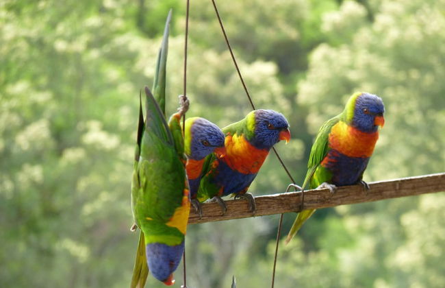 Bellthorpe Stays - Foto 47