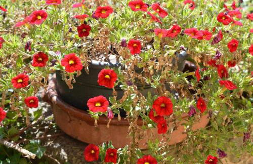 Rectoría de Castellar - Foto 39