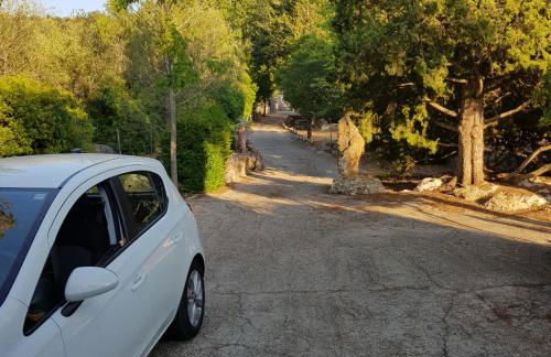 Can Company - Foto 69