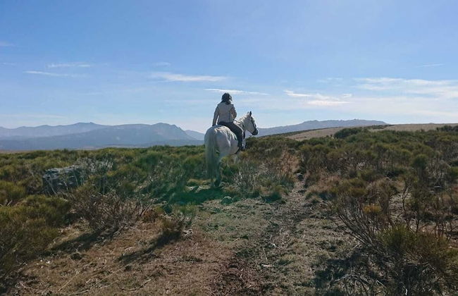 Artesano III - Photo 20