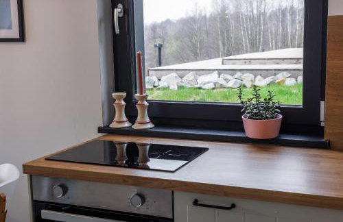 Domki W Sam Las & SPA Lubenia - Foto 60