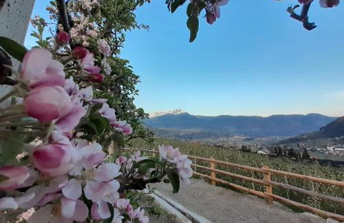 Fröhlichhof Wohnung Panorama - Foto 32