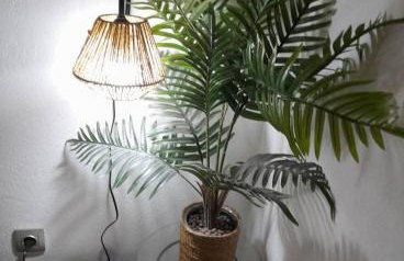 AGGELIKI STUDIOS - Photo 21