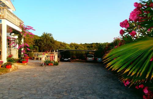 Studios Kranjcec - Photo 7