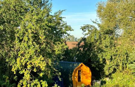 Mecklenbü mit Teich, Kamin, Sauna und Hotpott - Foto 14