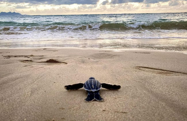 860 Sabal Ct - Foto 35