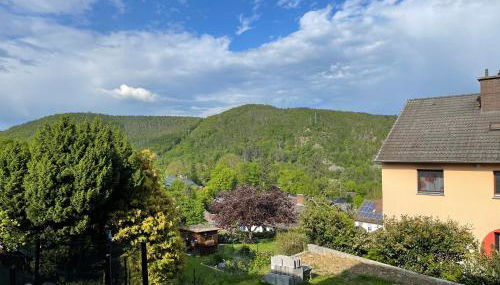 Ferienwohnung Zum Wildpark - Foto 4, Garden view