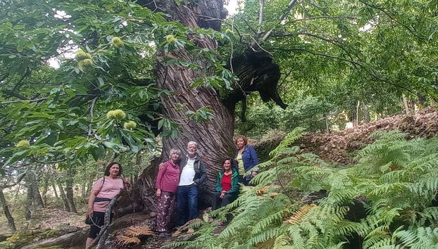 Tour della valle dell'Ambroz in 4x4 - Foto 5, Durante l'esperienza