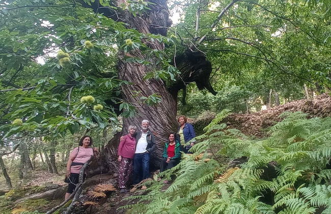 Tour en 4x4 por el valle del Ambroz - Foto 8