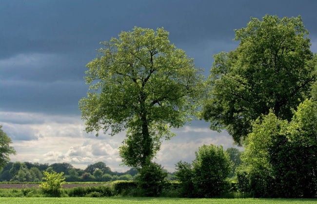 Farmhouse in Geesteren Near Forests - Photo 27