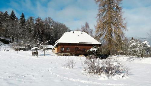 Holiday Home Bistenhof by Interhome - Foto 2