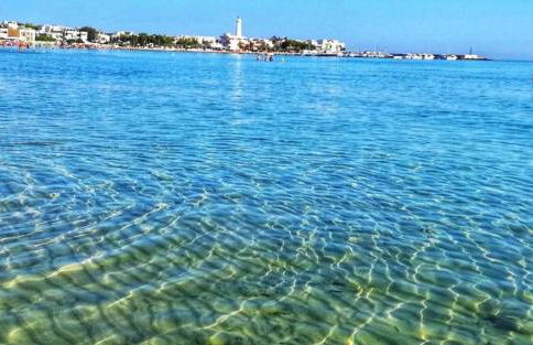 La ramasola & il datterino - Foto 59