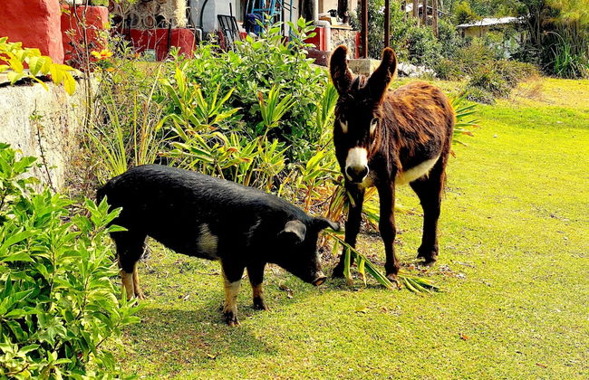 Rancho con Caballos El Reencuentro - Foto 63