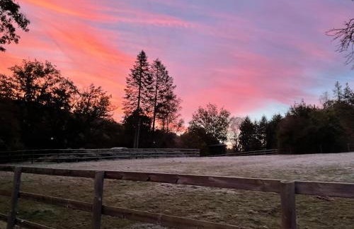 Etzauer Mühle im Taunus - Foto 7