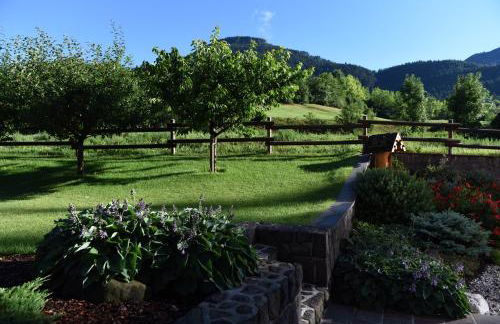 Agritur Maso Chemela - Foto 54