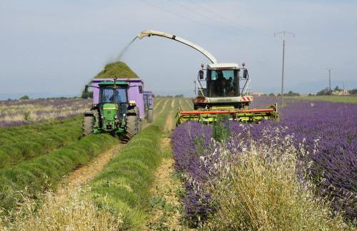 Lou pichoun studio au coeur d'un village provençal - Foto 25