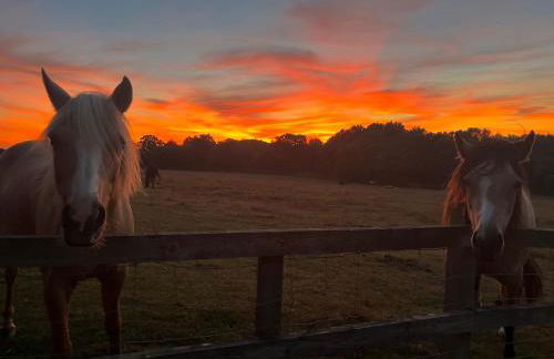 Hillside Farm Barn Apartments - Photo 71
