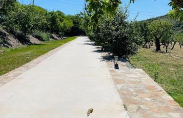 Villa Jardines de Guara - Foto 22