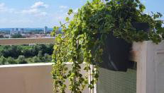 Apartment Blessing - Foto 5