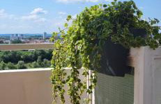 Apartment Blessing - Foto 5