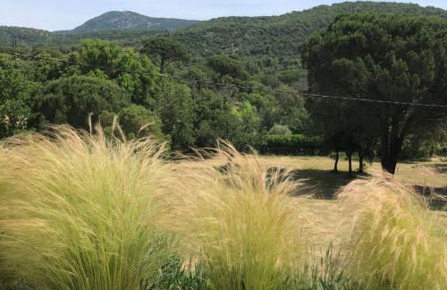 Mas de Bagarry - Foto 24