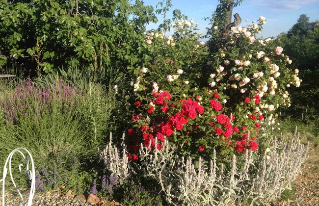 Casa Isabella - Foto 48