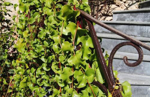 Vecchia Dimora Resort - Foto 38