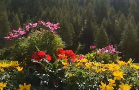 Rifugio delle Emozioni - Foto 13