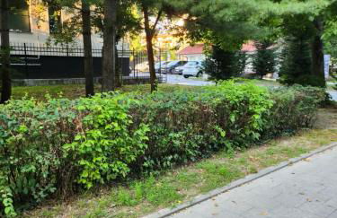 CRBN Di SJK28 - Foto 9