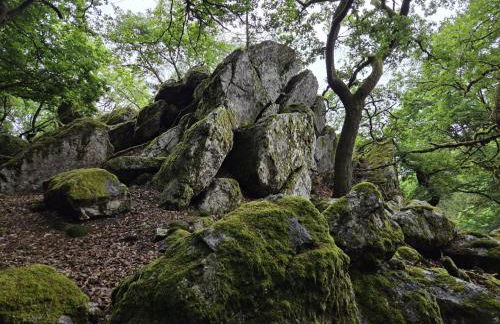 Ferienhaus Klara - Foto 23