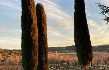 Les Saffres - gîte de charme pour 8 personnes - Foto 40